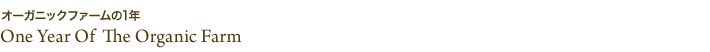 オーガニックファームの1年