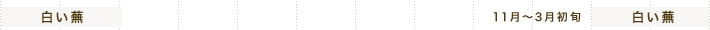 白い蕪 11月～3月初旬