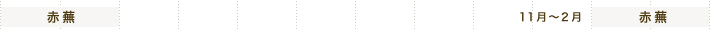 赤蕪 11月～2月