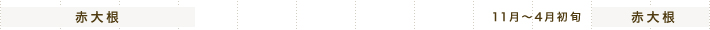 赤大根 11月～4月初旬