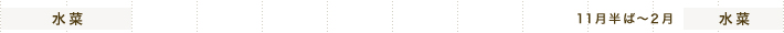 水菜 11月半ば～2月