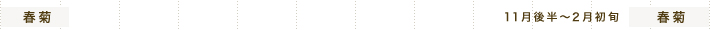 春菊 11月後半～2月初旬