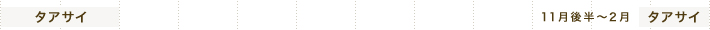 タアサイ 11月後半～2月