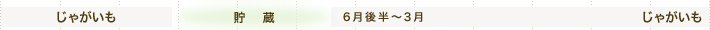 じゃがいも 6月後半～3月