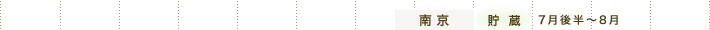南京 貯蔵 7月後半～8月