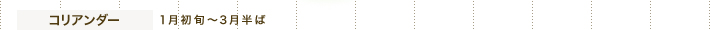 コリアンダー 1月初旬～3月半ば