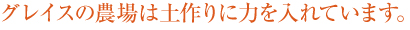グレイスの農場は土作りに力を入れています。
